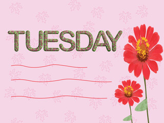 TUESDAY, card with flowers on pink background design
