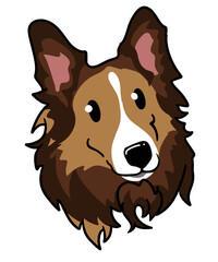 Fototapeta premium dog face