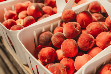 Peaches at the farmers market in bushel baskets