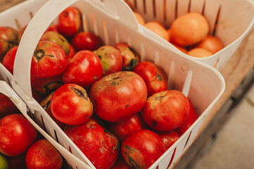 Tomatoes at the farmers market in bushel baskets