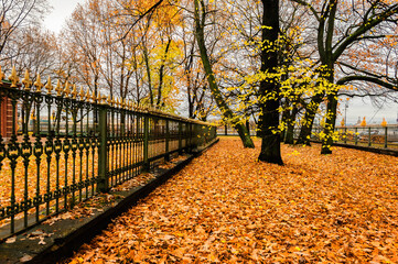 Autumn park with autumn leaves covering the ground, beautiful autumn landscape, autumn October park view