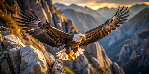 Fototapeta premium Majestic bald eagle spreads wingspan wide, effortlessly gliding above rocky cliffs, piercing gaze scanning vast landscape below for unsuspecting prey in aerial hunt.