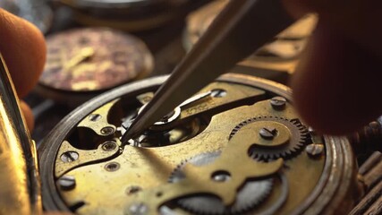 Clockmaker repairing wrist watch.