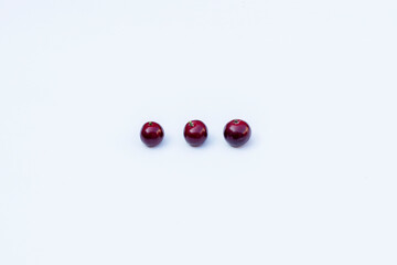 Bay fruit isolated on white, alternative ingredient for herbal medicine