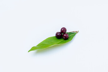 Bay fruit isolated on white, alternative ingredient for herbal medicine