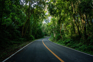 Fototapeta premium A rural road winds through a serene mountain vista, bordered by lush green forest under a blue sky at dawn in Doi Phuka National Park, Nan Province, Thailand
