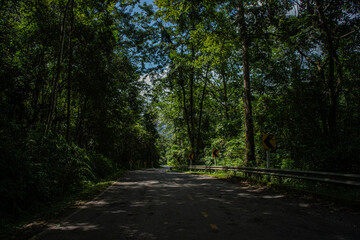 Fototapeta premium A rural road winds through a serene mountain vista, bordered by lush green forest under a blue sky at dawn in Doi Phuka National Park, Nan Province, Thailand