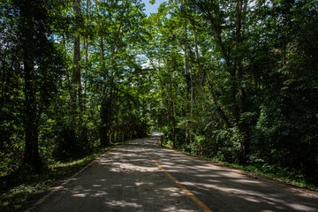 Obraz premium A rural road winds through a serene mountain vista, bordered by lush green forest under a blue sky at dawn in Doi Phuka National Park, Nan Province, Thailand