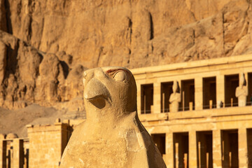 The colossal statue of Horus, the falcon god, which dominates the Temple of Hatshepsut. This powerful image represents the divine protection granted to the temple and its pharaoh.