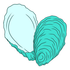 illustration of a sea shell