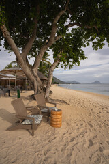 Two sunbeds under a tree on an idyllic beach in Mauritius.