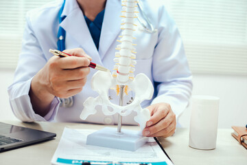 The intervertebral disc is a cushion-like structure between vertebrae in the spine, composed of a tough outer layer and a gel-like center, providing flexibility and absorbing spinal shock.