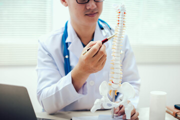 The intervertebral disc is a cushion-like structure between vertebrae in the spine, composed of a...