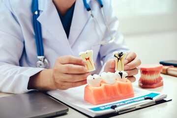 Gums and teeth are essential for oral health. Gums provide a protective covering for tooth roots, while teeth enable chewing and breaking down food for digestion, aiding in overall nutrition.