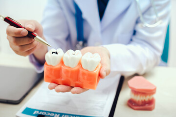Gums and teeth are essential for oral health. Gums provide a protective covering for tooth roots, while teeth enable chewing and breaking down food for digestion, aiding in overall nutrition.