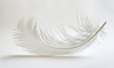 A single white feather with a slight curve isolated on a white background.