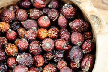 Hagebutten Rosa canina die Hunderose frisch oder getrocknet