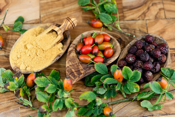 Hagebutten Rosa canina die Hunderose frisch oder getrocknet