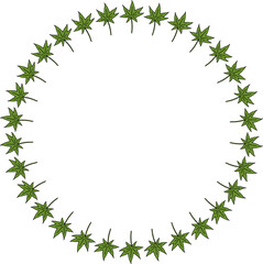 round frame with unique green leaves on a white background.eps