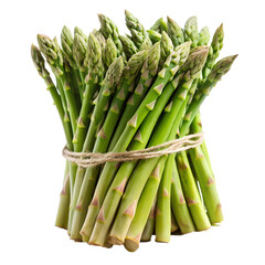 Asparagus isolated on white background. Ai generated