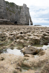 Coastal bottom at low tide at Étretat