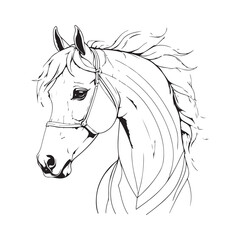 line art on white background. line art horse on white background. sketch style. Vector graphic icon animal.