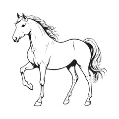 line art on white background. line art horse on white background. sketch style. Vector graphic icon animal.