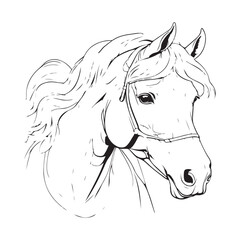 line art on white background. line art horse on white background. sketch style. Vector graphic icon animal.