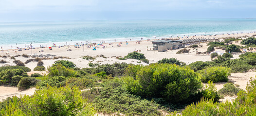 Obraz premium sand dunes that give access to La Barrosa beach in Sancti Petri, Cadiz, Spain