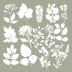 Delicate Floral watercolor Paper texture with soft botanical art 