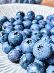 Lots of juicy and ripe blueberries