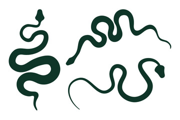 Isolated snake silhouette on white background