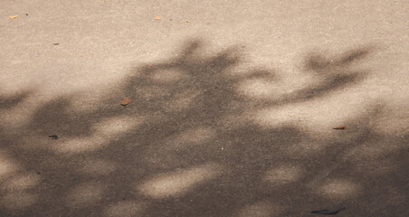 A tree casts a shadow on the ground. The shadow is large and dark, covering a significant portion of the ground