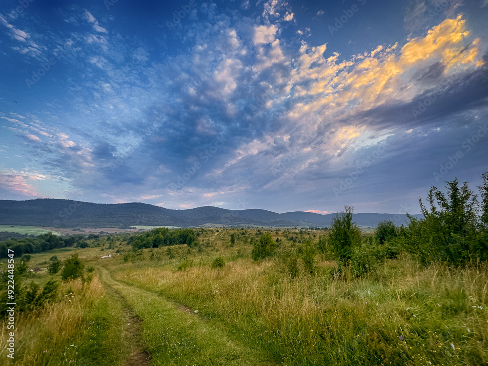 Wall mural wonderful landscape view on the carpathian mountains during the sunset in the summer season