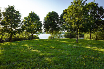 A serene park in Northern Ireland, offering a peaceful retreat amidst nature's beauty