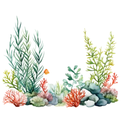 Fotobehang watercolor seaweed and corals isolated on white. Sea theme, design element, decoration of water entertainment places, parks, beaches. © Linggakun