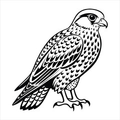 Fototapeta premium kestrel bird silhouette vector illustration