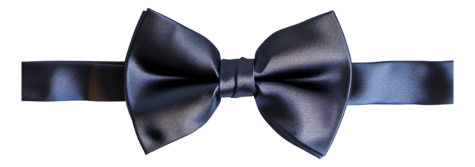A shiny metallic navy blue bow tie isolated.