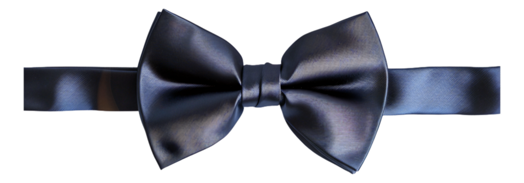 A shiny metallic navy blue bow tie isolated.