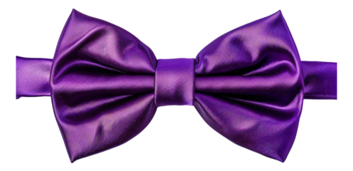 A shiny metallic purple bow tie isolated.