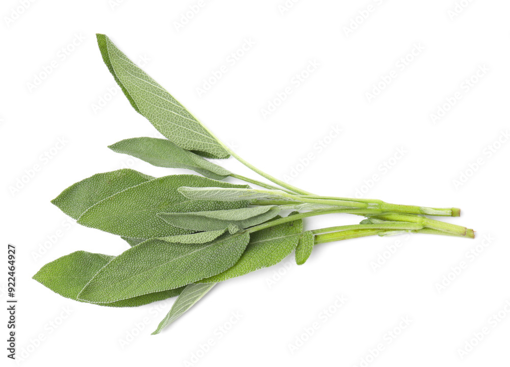 Wall mural leaves of fresh sage isolated on white, top view