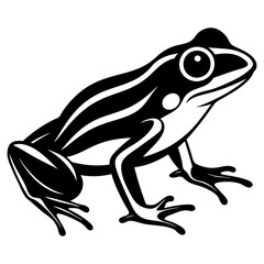 Common coqui black frog art vector illustration