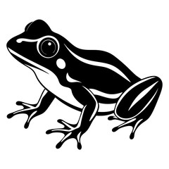 Common coqui black frog art vector illustration