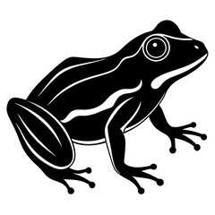 Common coqui black frog art vector illustration
