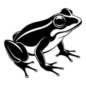 Common coqui black frog art vector illustration
