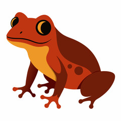 Common coqui frog art vector illustration