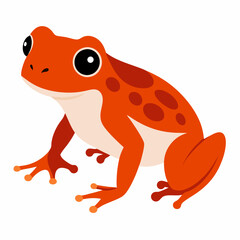 Common coqui frog art vector illustration