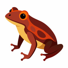 Common coqui frog art vector illustration