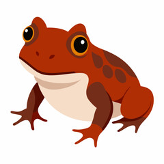 Common coqui frog art vector illustration