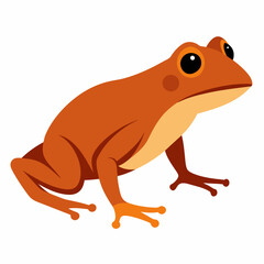Common coqui frog art vector illustration